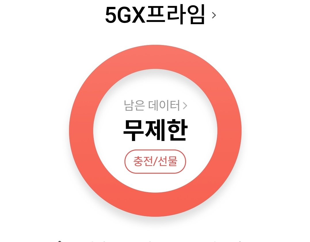 skt데이터 1기가 2기가
