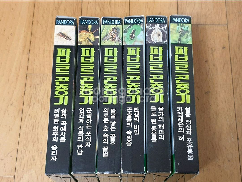 파브르곤충기 비디오테이프 1-6 세트--0