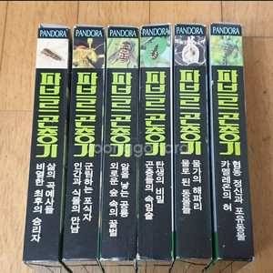 파브르곤충기 비디오테이프 1-6 세트