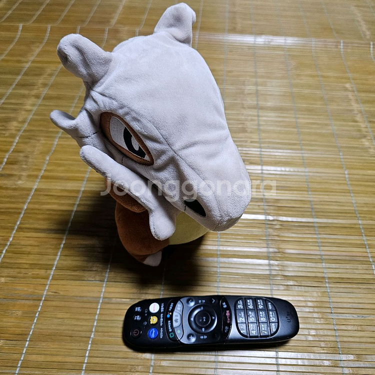 구매시덤)피카츄 인형--1