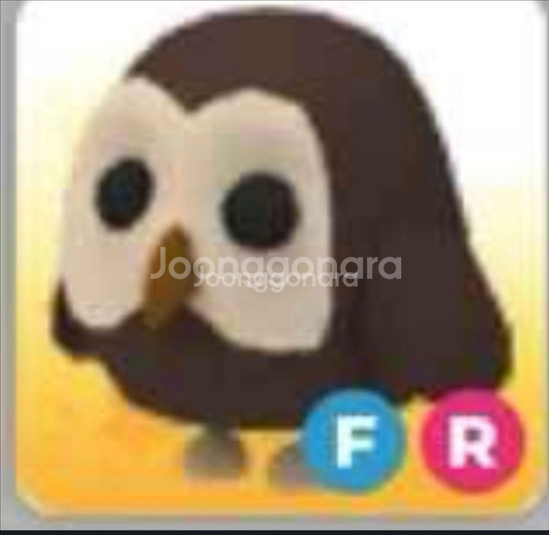 입양하세요 날타 붱 팝니다--0