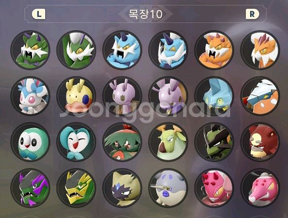 [레전드 아르세우스] 포켓몬스터 컴플리트 도감 우두머리--9