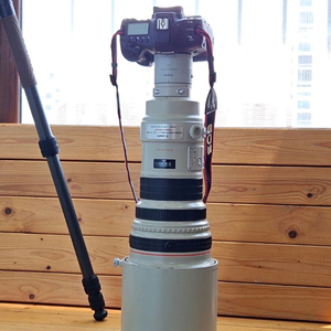 캐논 EF 400mm F2.8 L IS USM