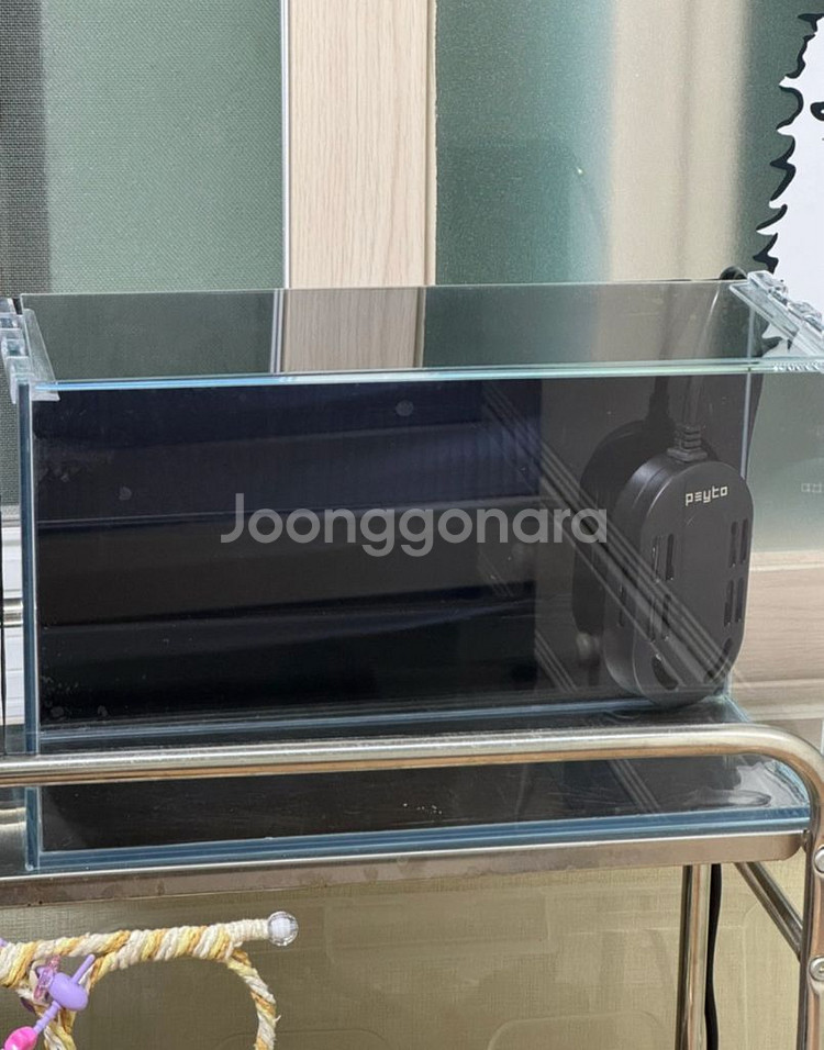 올디아망 어항(알몬드잎 증정)--0