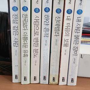 코니 메이슨 내사랑 붉은 장미. 하얀흔적 등 7권