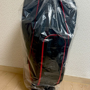 골프백 보스턴백 렉서스 새상품 판매합니다.