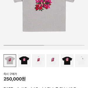 (새상품) 베이프 x 안티소셜클럽 티셔츠 그레이 XL