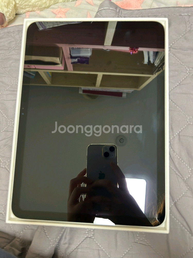아이패드 10세대 256GB Wifi--0