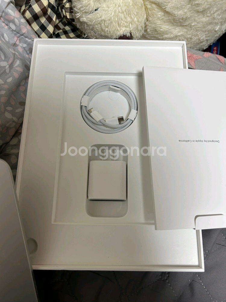 아이패드 10세대 256GB Wifi--2