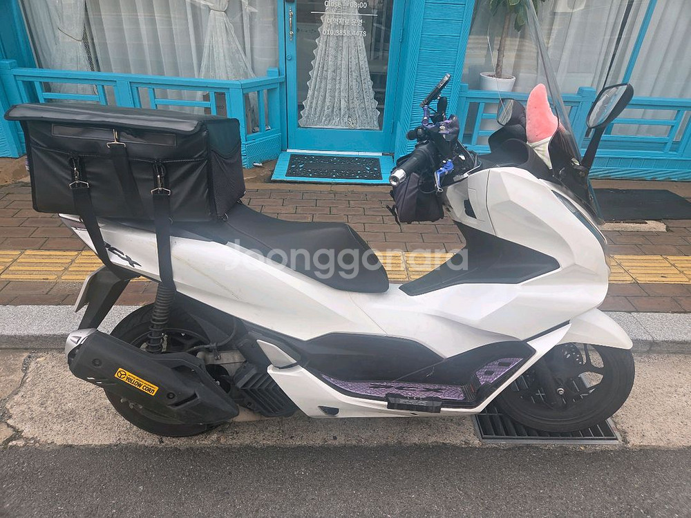 pcx--1