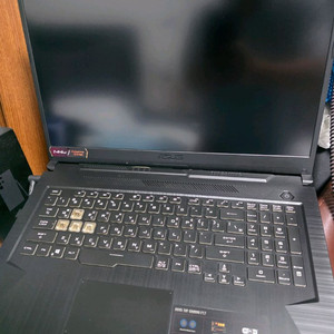 아수스 TUF17 F17 i9 게잉노트북