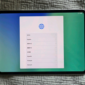 아이패드 프로 11 M4 셀룰러 256GB