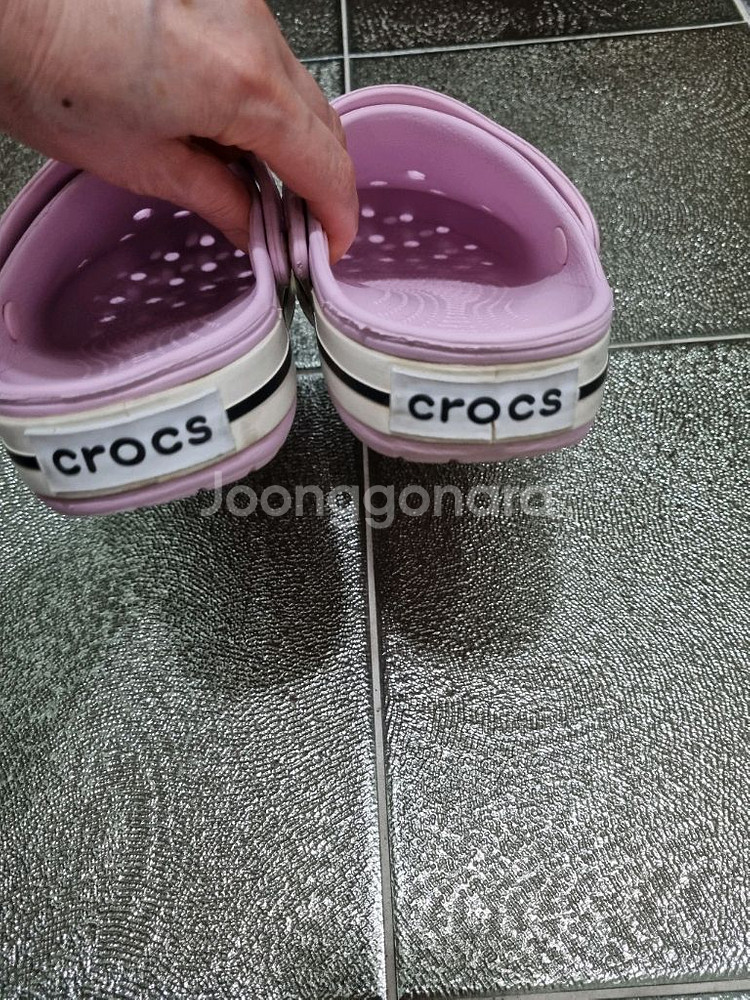 크록스240--2