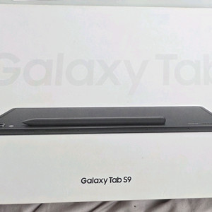갤럭시 탭 S9 그라파이트 256g wifi 서울 양천