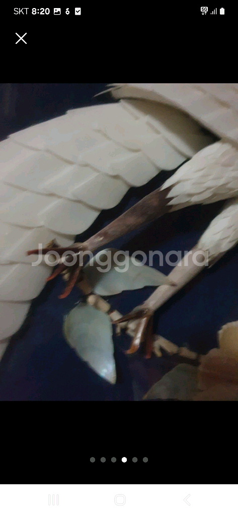 자개액자1개단가사진되로--3