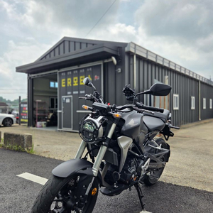 혼다 CB300R
