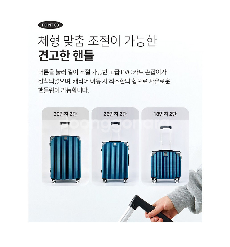 이태리 [ORNELLI]오르넬리 스펠리나 안티스크래치--5