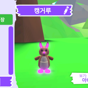 입양하세요 펫 메가네온 캥거루 판매합니다