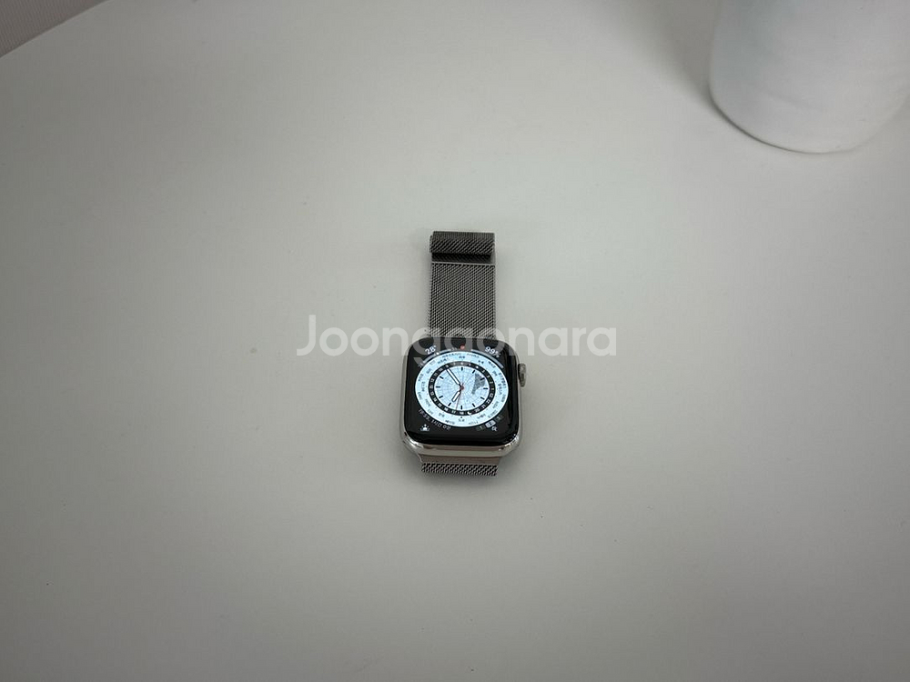 애플워치4 44mm 스테인리스 스틸 LTE--3