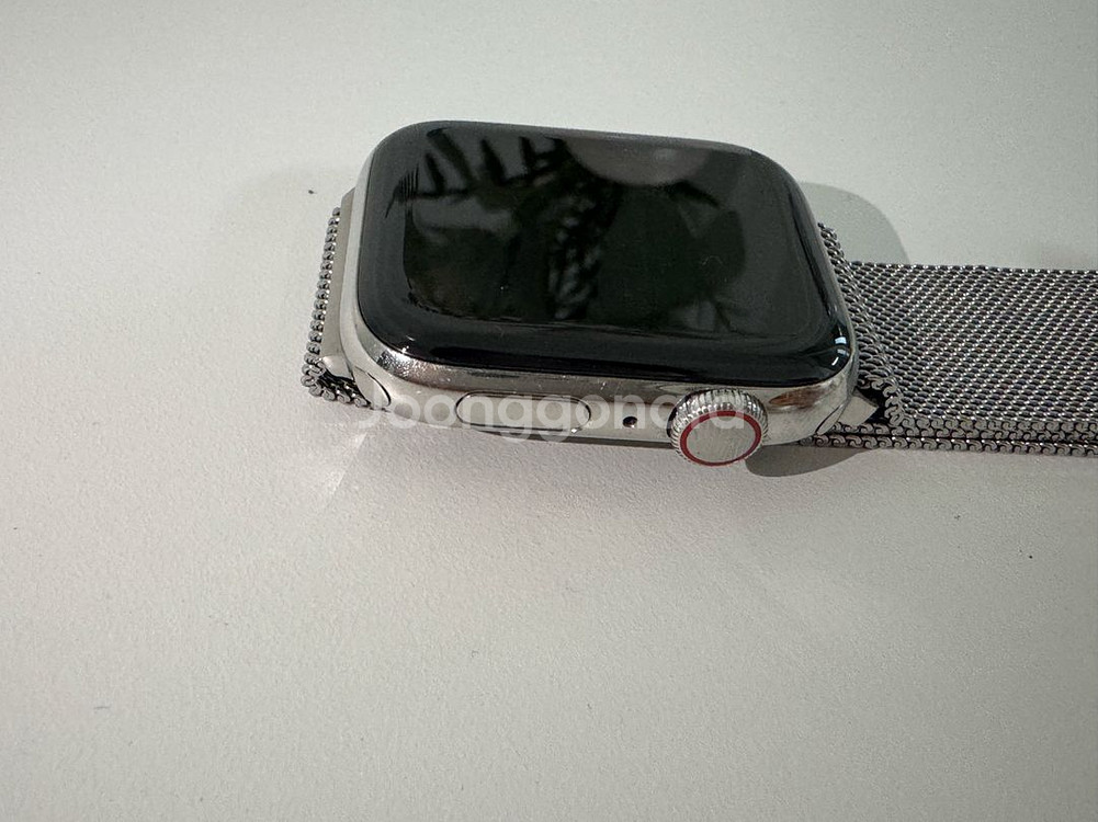 애플워치4 44mm 스테인리스 스틸 LTE--5