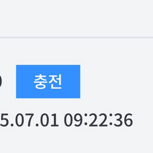 던파 세라 30만 원