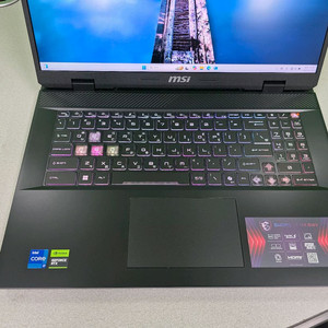 신품급 MSI 17인치 QHD 게이밍노트북 i7 14세
