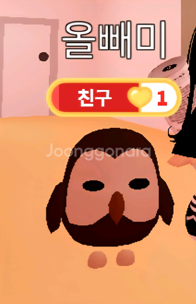 입양하세요 R 부엉이--0