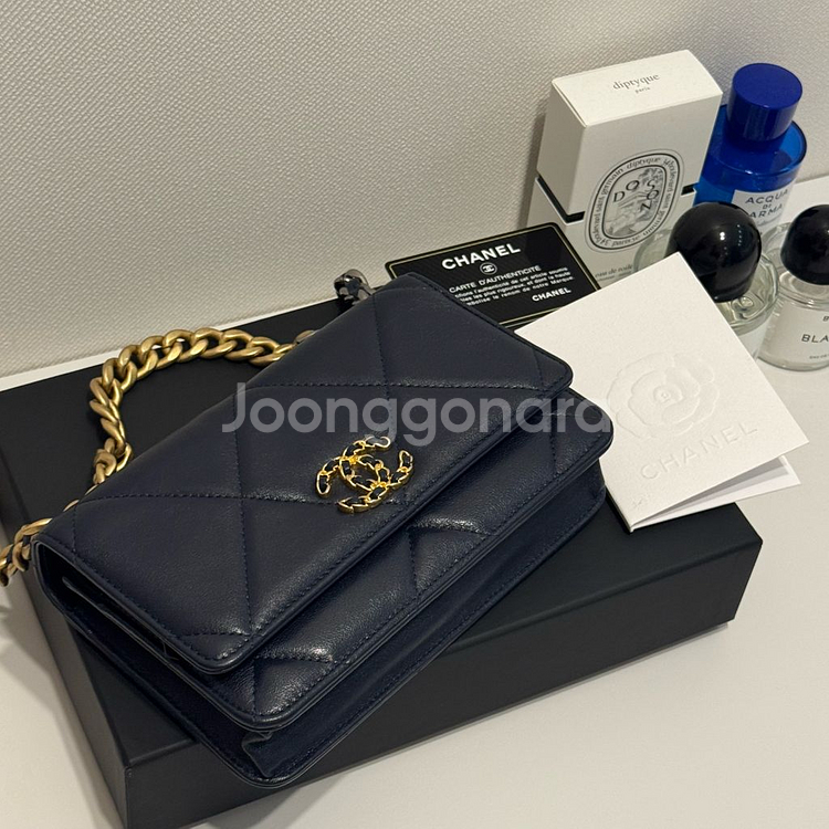 정품 샤넬 woc 19 체인백 AP0957--3