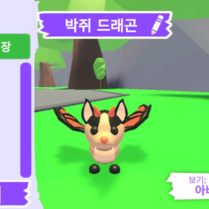 입양하세요 펫 박쥐 드래곤 판매합니다