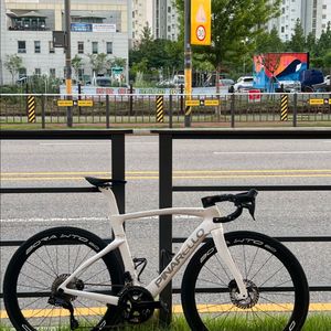 피나렐로 도그마f (알리)