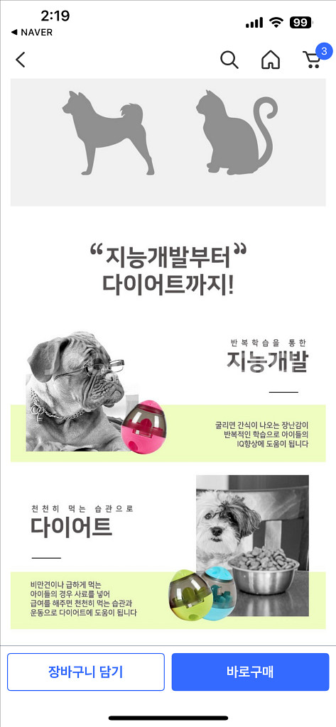 딩동펫 공룡알 간식볼 강아지 고양이--7
