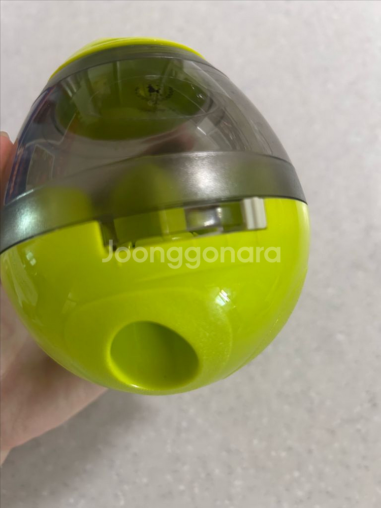 딩동펫 공룡알 간식볼 강아지 고양이--6