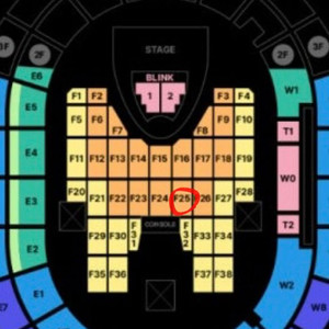 블랙핑크 콘서트 BLACK석 양도
