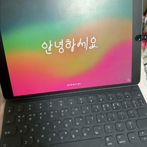 아이패드 프로 10.5
