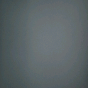 그로우 어 가든 라쿤 ㅍ ㅍ