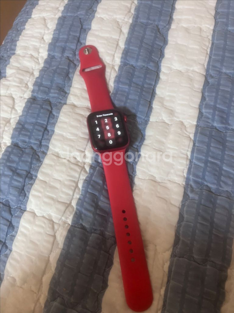 애플워치6 레드 44mm 셀룰러/gps--1