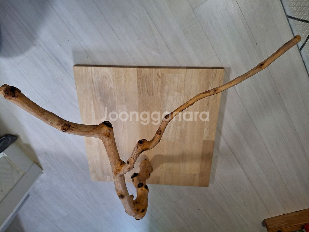 앵무새 용품 판매합니다--0