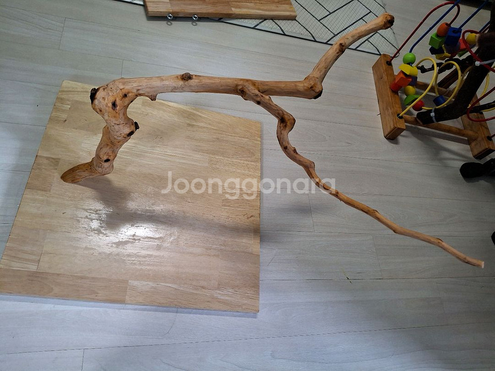 앵무새 용품 판매합니다--1