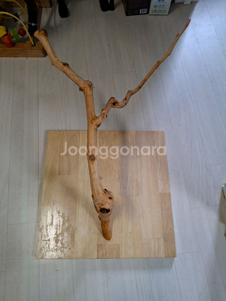 앵무새 용품 판매합니다--3