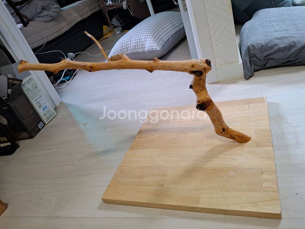 앵무새 용품 판매합니다--2