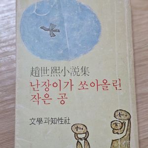 난자미가 쏘아올린 작은 공