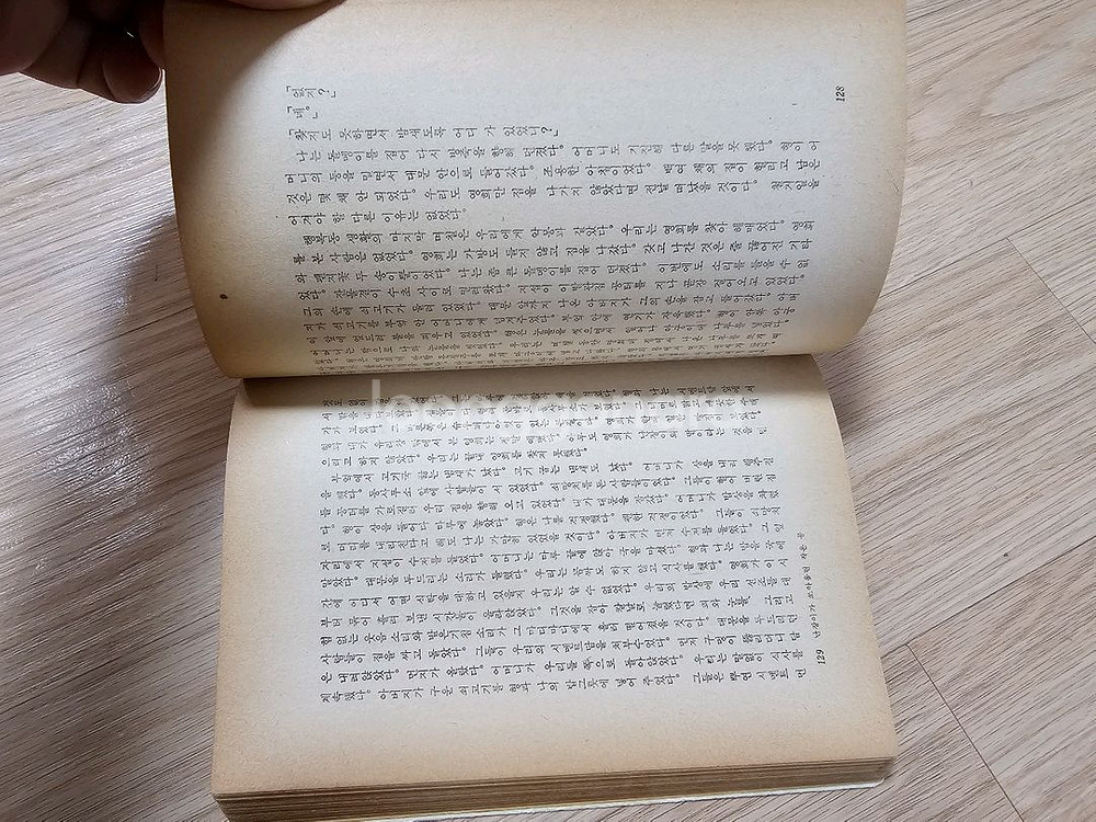 난자미가 쏘아올린 작은 공--4