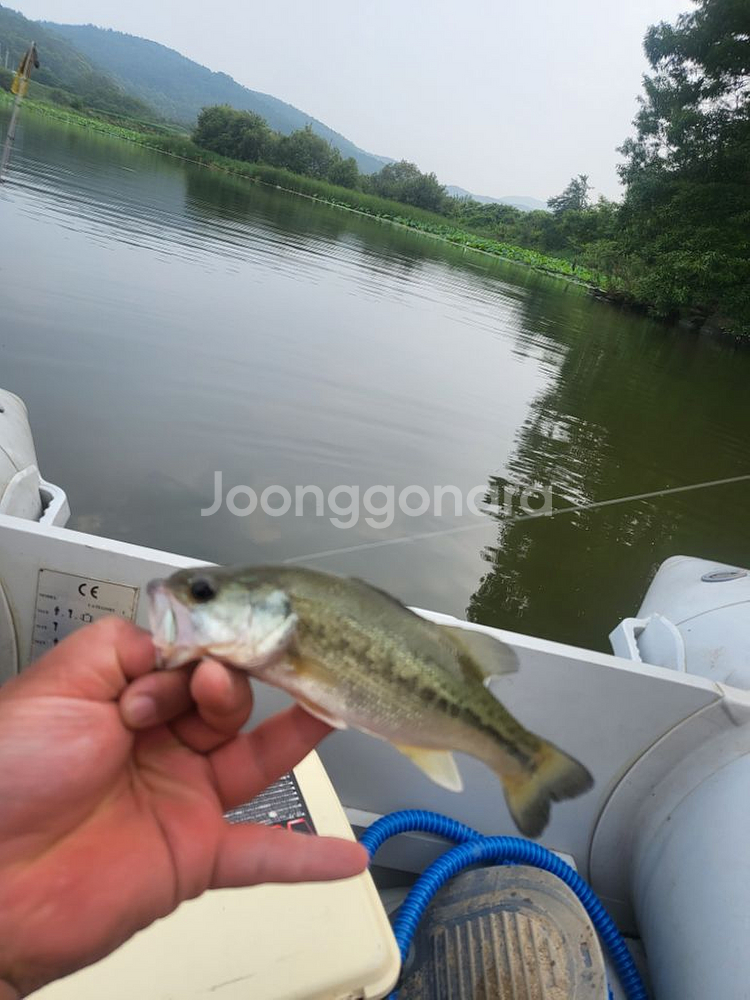 동서산업 낚시 레저보트--3
