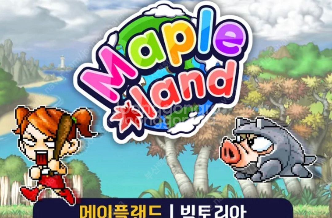 메이플 월드 코인 메랜 코인 75프로로 30만원 팔아요--0