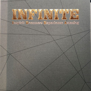 인피니트 IDEA 화보집 판매