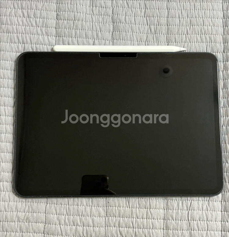 아이패드 프로 11 M4 256GB + 애플펜슬 팔아요--0