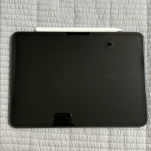 아이패드 프로 11 M4 256GB + 애플펜슬 팔아요