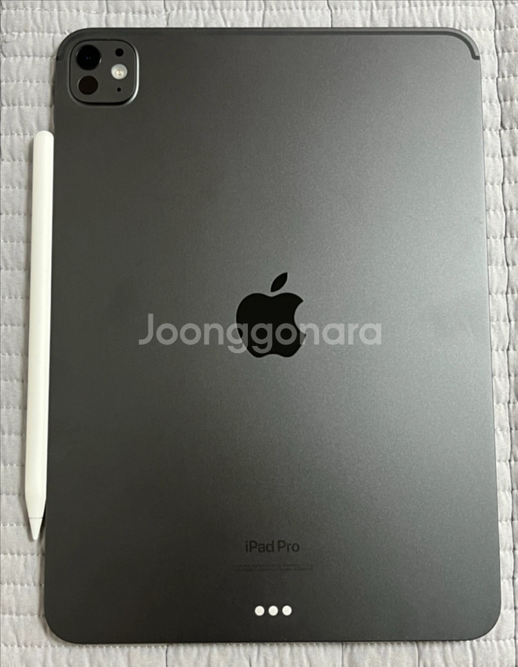 아이패드 프로 11 M4 256GB + 애플펜슬 팔아요--1