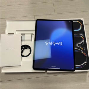 S급 ) 아이패드 프로 M4 13인치 256gb 스그