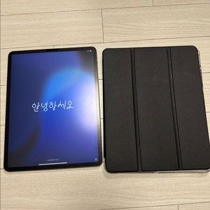 아이패드 프로 3세대 12.9인치 64gb 스그